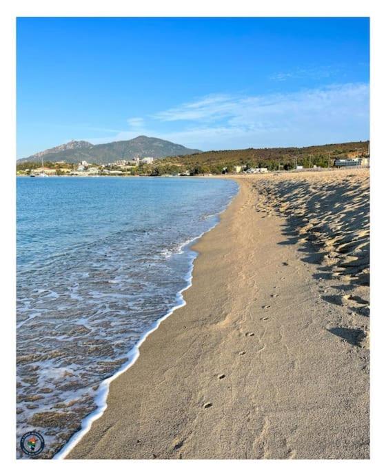 Lumineux Et Cosy F3 Vue Mer Ajaccio  Esterno foto